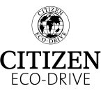 CITIZEN WATCHES LOGO