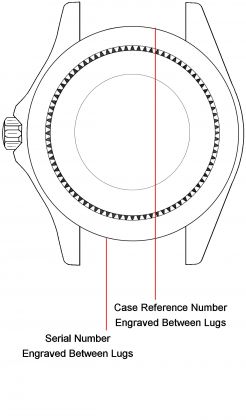 Rolex watch case back - repairs servicing