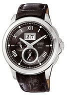 CITIZEN CALIBRE BT0000-07E WATCH