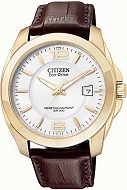 CITIZEN PERPETUAL CALENDAR BL1223-07A