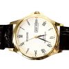Mens Pulsar  Classic Watch PXF292X1