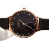 Womens Skagen Anita Watch skw2267