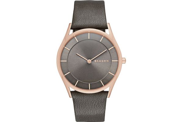 Womens Skagen Holst Watch SKW2346