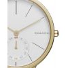 Womens Skagen Hagen Watch SKW2436