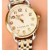 Womens Coach Delancey Watch 14502243