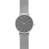 Womens Skagen Hald Watch SKW2677