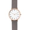 Womens Skagen Hald Watch SKW2674