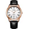 Mens Rotary Cambridge Watch GS05252/01