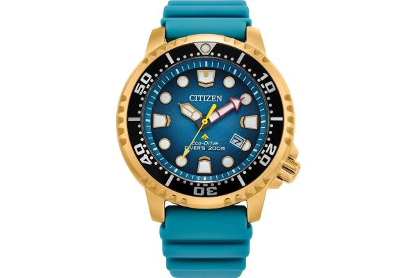 Mens Citizen Promaster Watch BN0162-02X