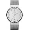 Womens Skagen Steel Mesh Watch SKW2004